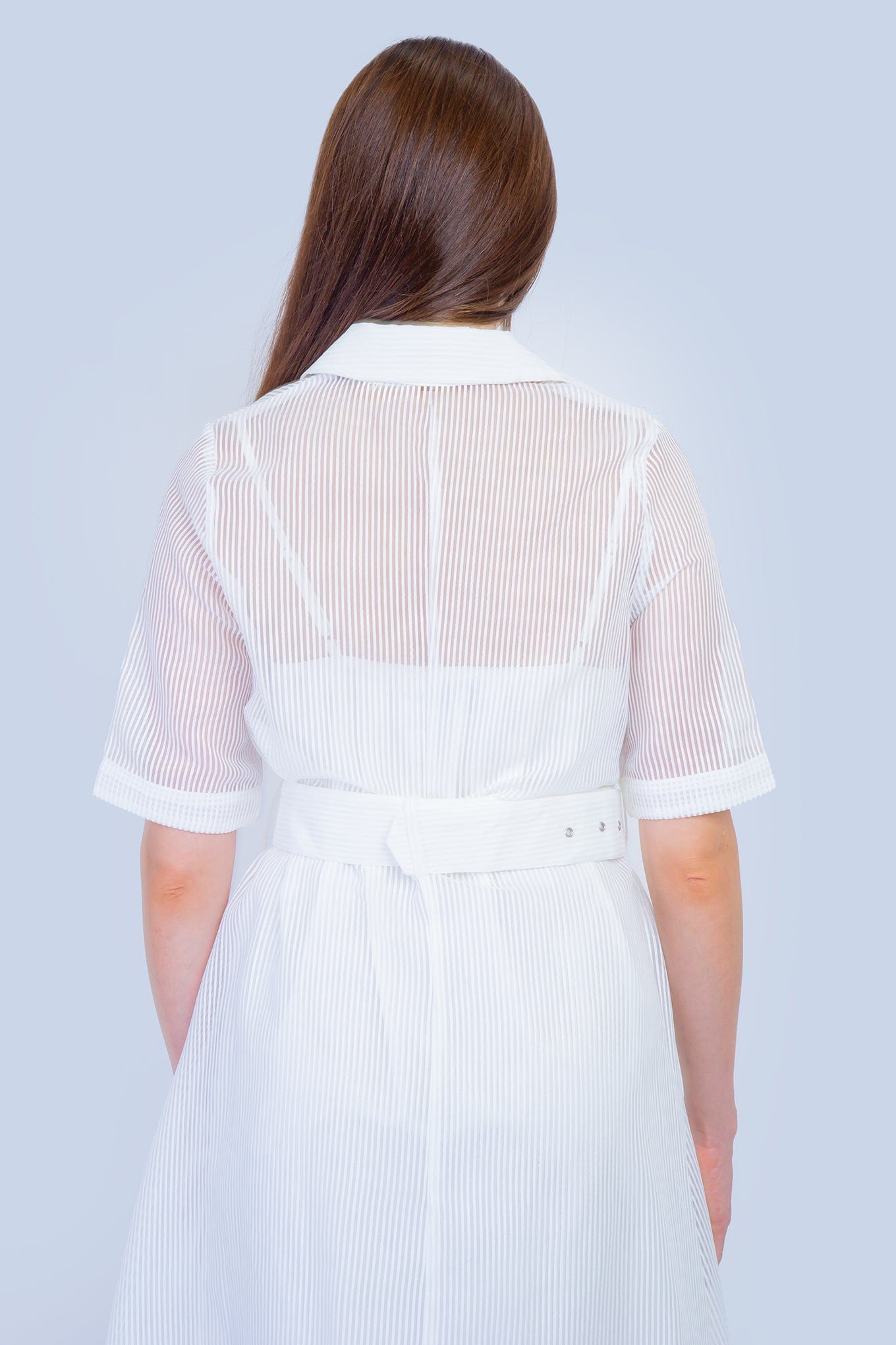 DCD DRESSES Belted Sheer Stripe Shirt Dress