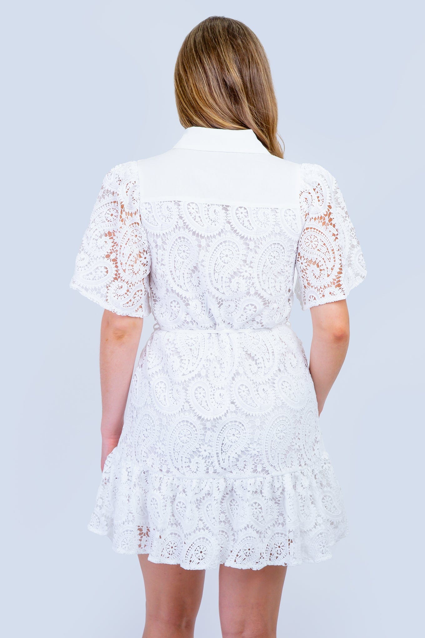 DCD DRESSES Off White Eyelet Lace Collared Dress