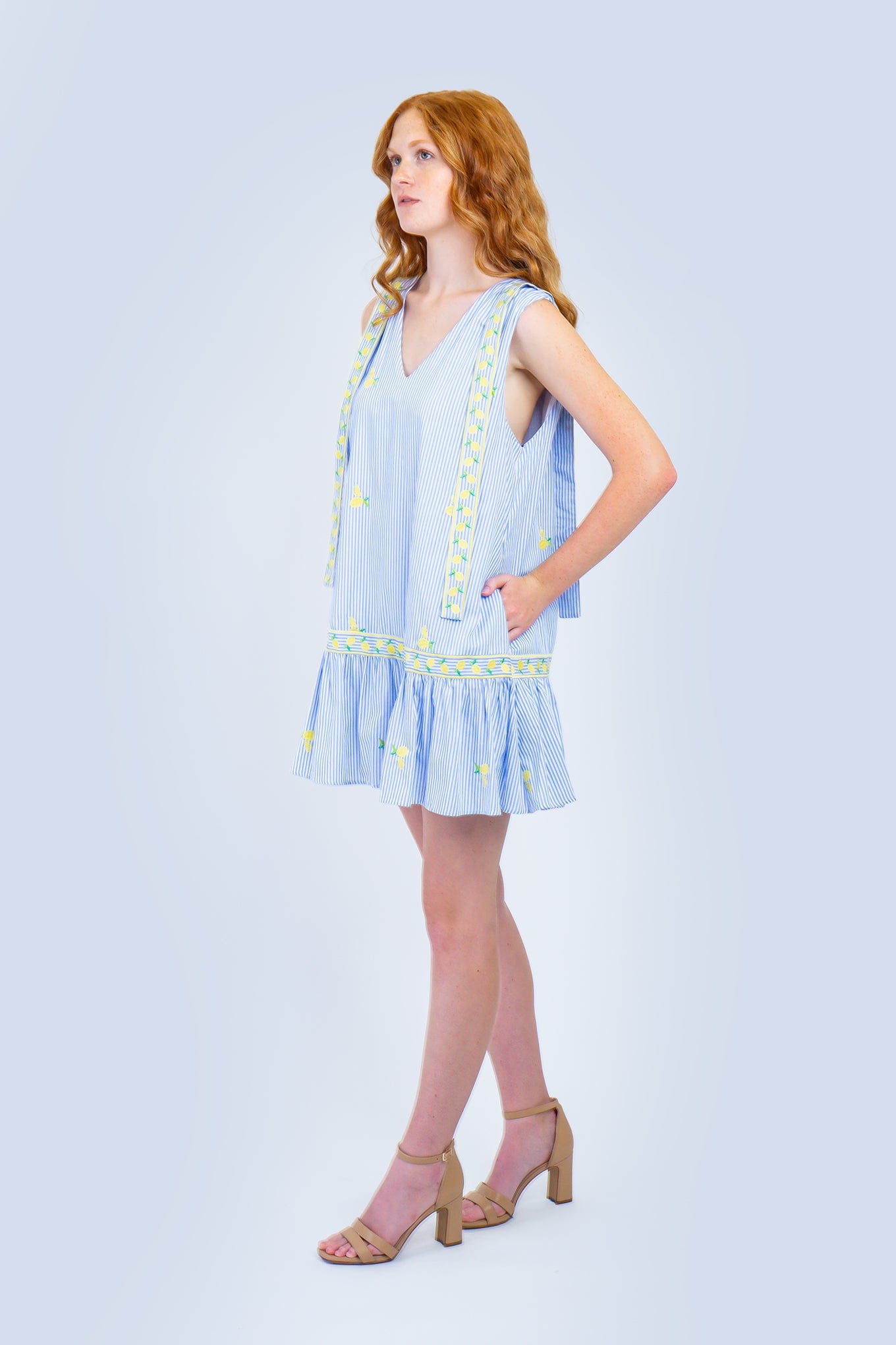 Private Label DRESSES Blue Stripes Lemon Embroidery Mini Dress