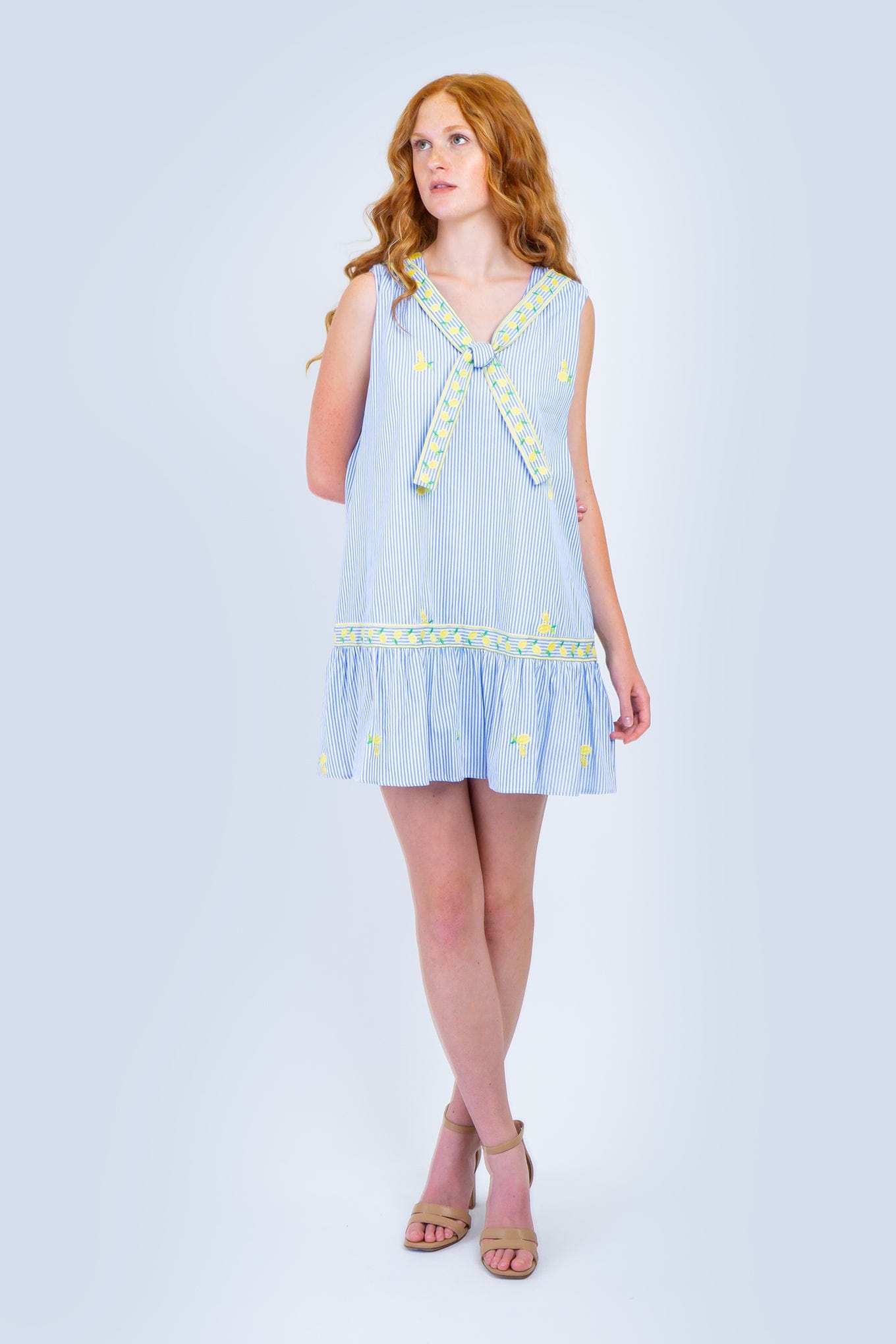 Private Label DRESSES Blue Stripes Lemon Embroidery Mini Dress