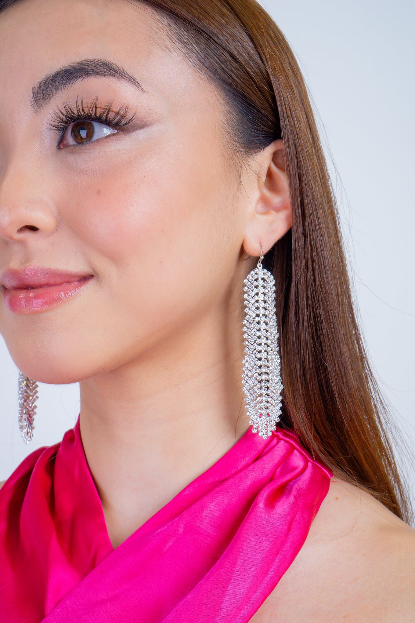 DCD EARRINGS Silver Silver Rhinestone Tassel Fish Hook Earrings