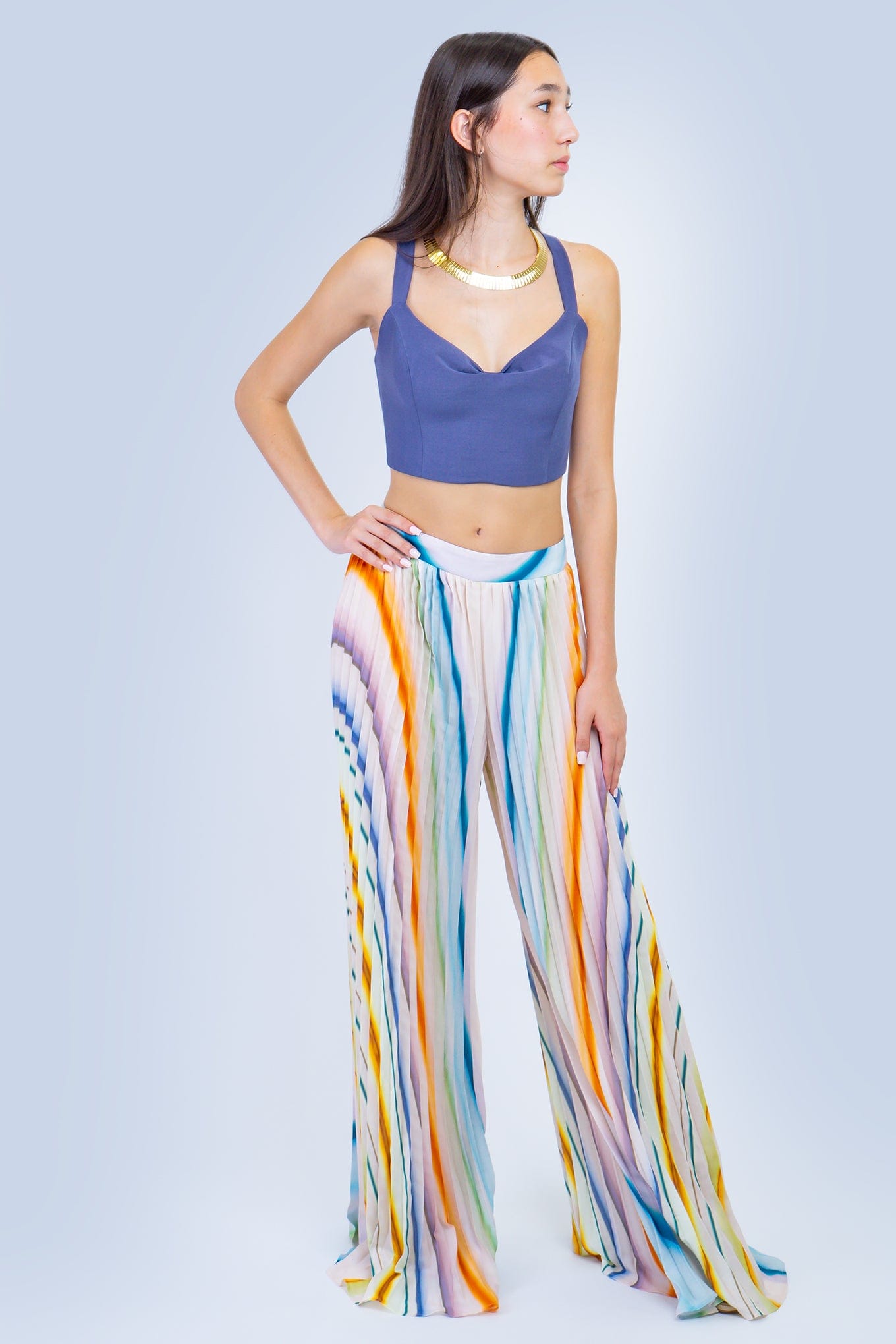 DCD SETS Pleats Multicolor Wide Leg Pant